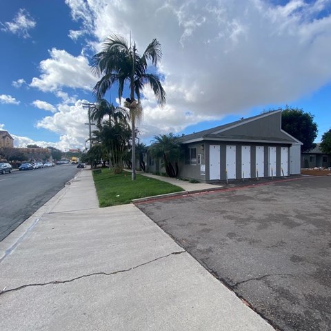 A building with a grey roof is situated on a street with a sidewalk and a palm tree.