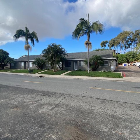 A street view with a building and palm trees.
