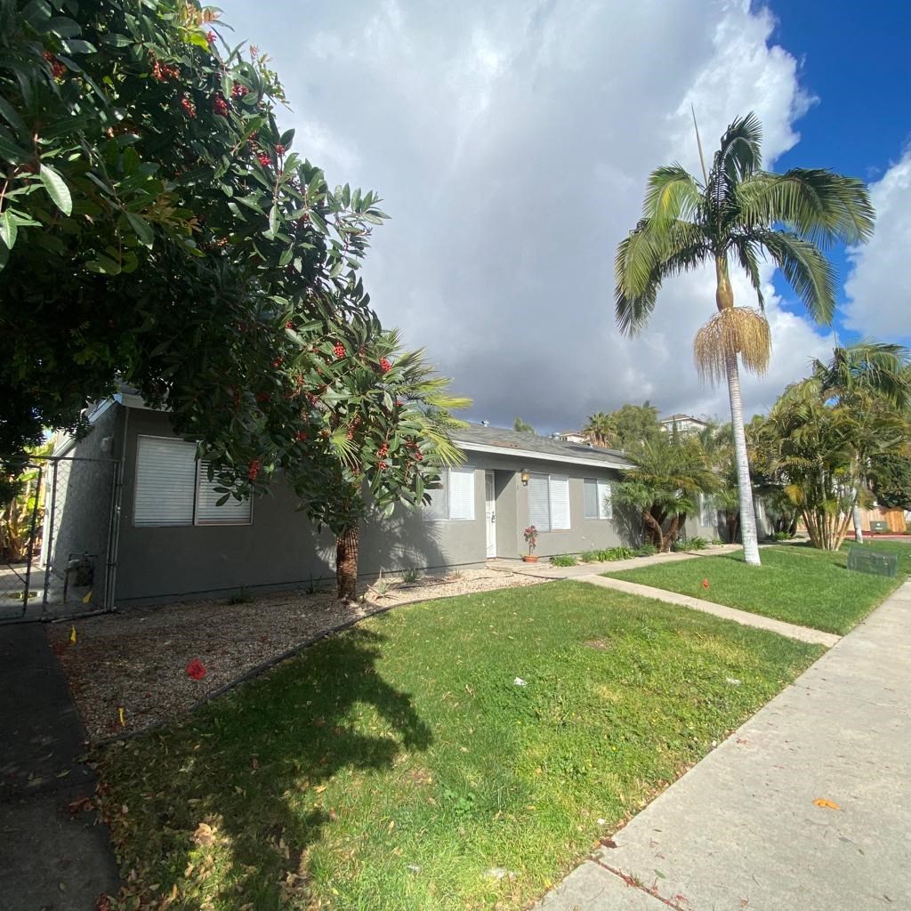 a house with a palm tree in front of it