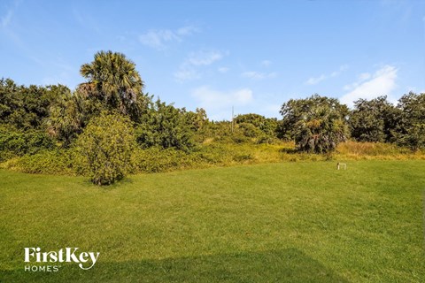 a large grassy field with trees in the background