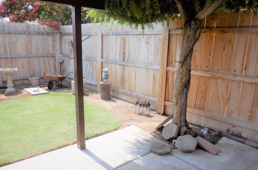 a backyard with a tree and a wooden fence