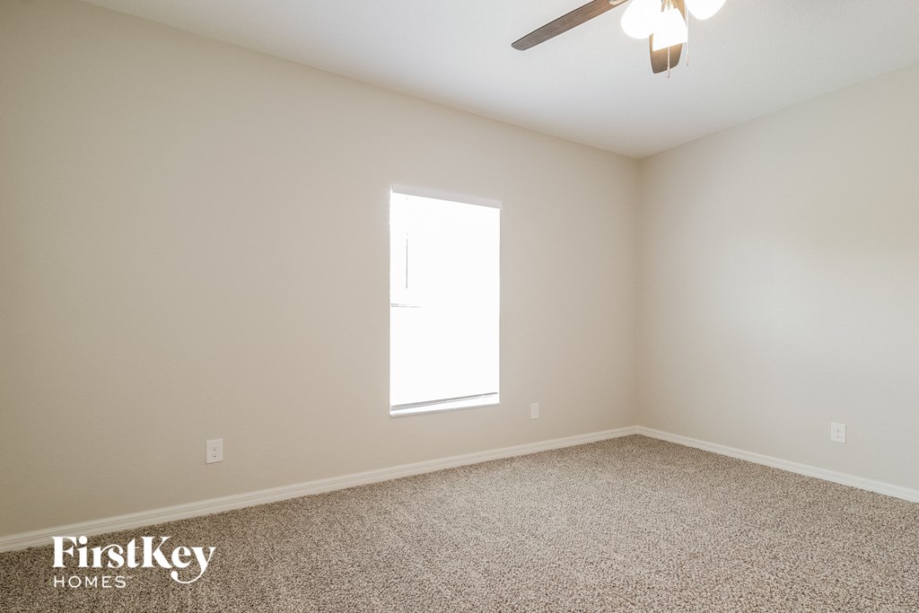 A carpeted room with a ceiling fan and a window.