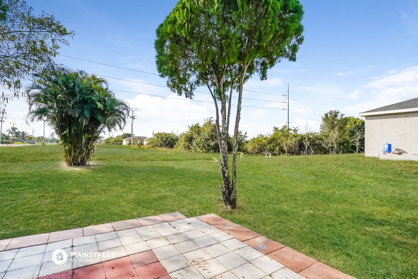 a backyard with a lawn and a tree