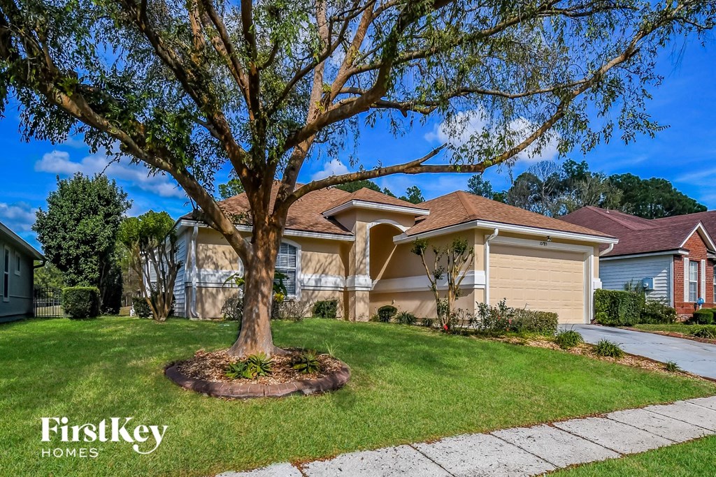 a home with a large tree in the front yard