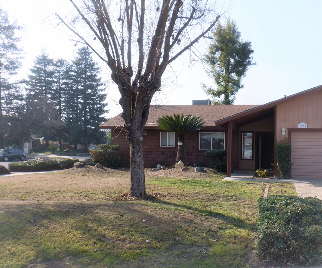 a house with a tree in the front yard