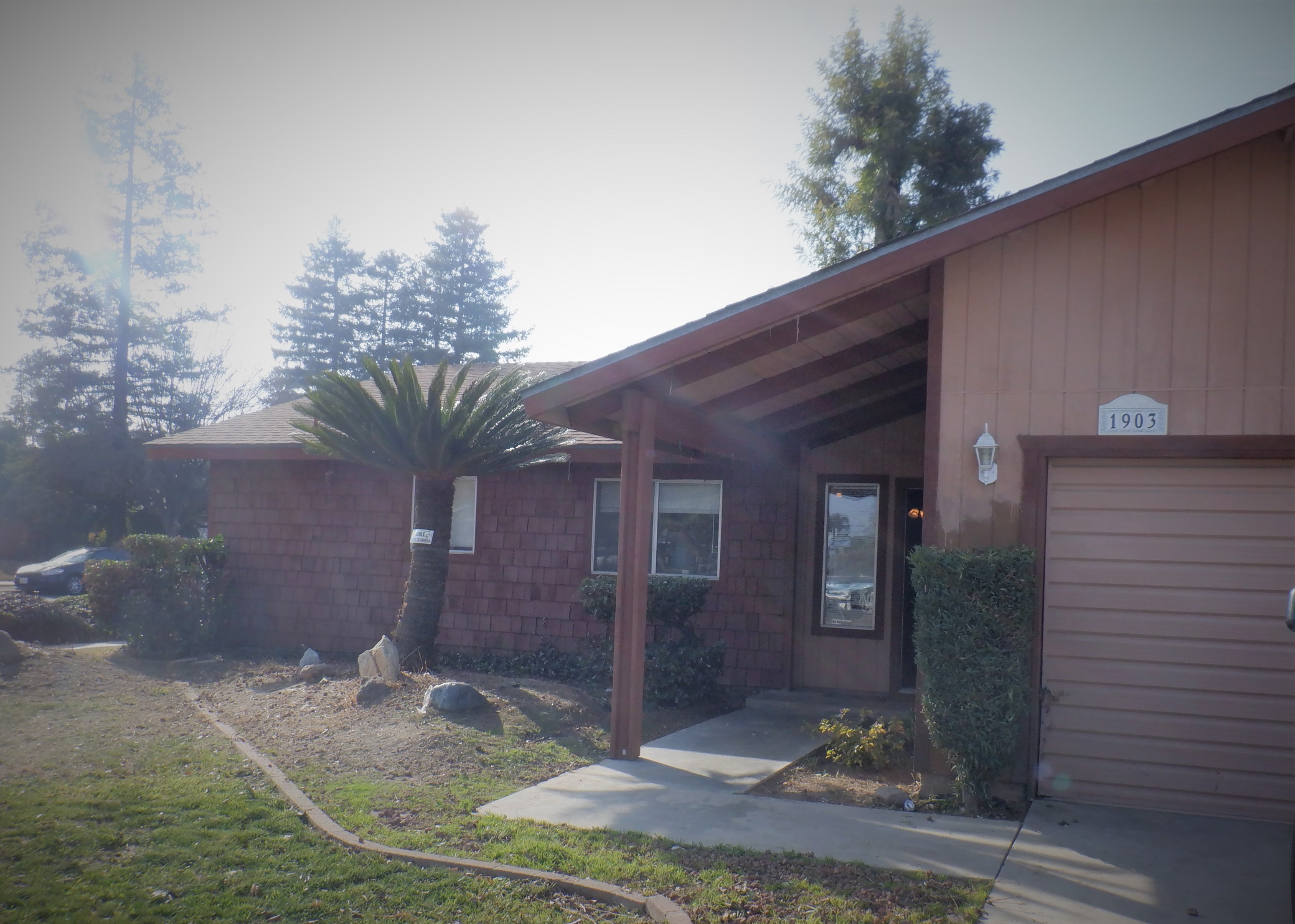 a house with a palm tree in front of it
