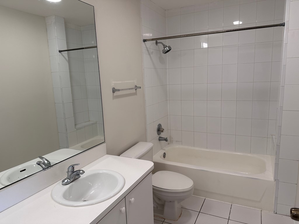 a bathroom with a sink and a toilet and a bath tub