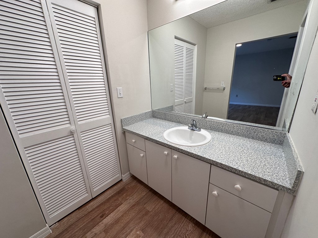 a bathroom with a sink and a mirror and a closet
