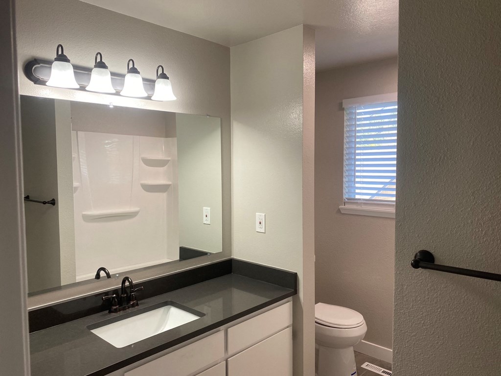 a bathroom with a sink and a toilet and a mirror