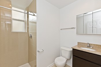 5017 N Wolcott Ave Studio-1 Bed Apartment for Rent - Photo Gallery 6