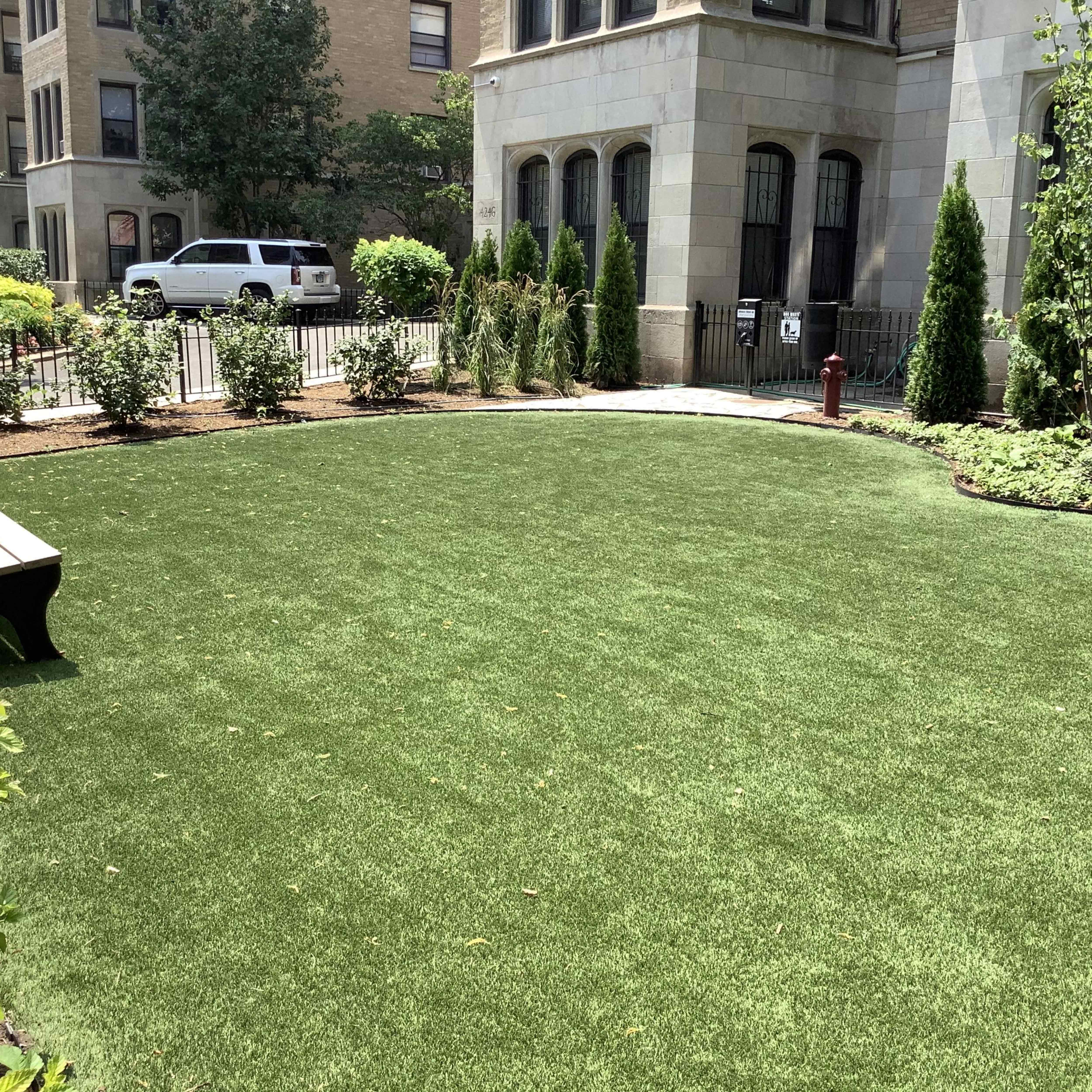 Buena Terrace Dog Run