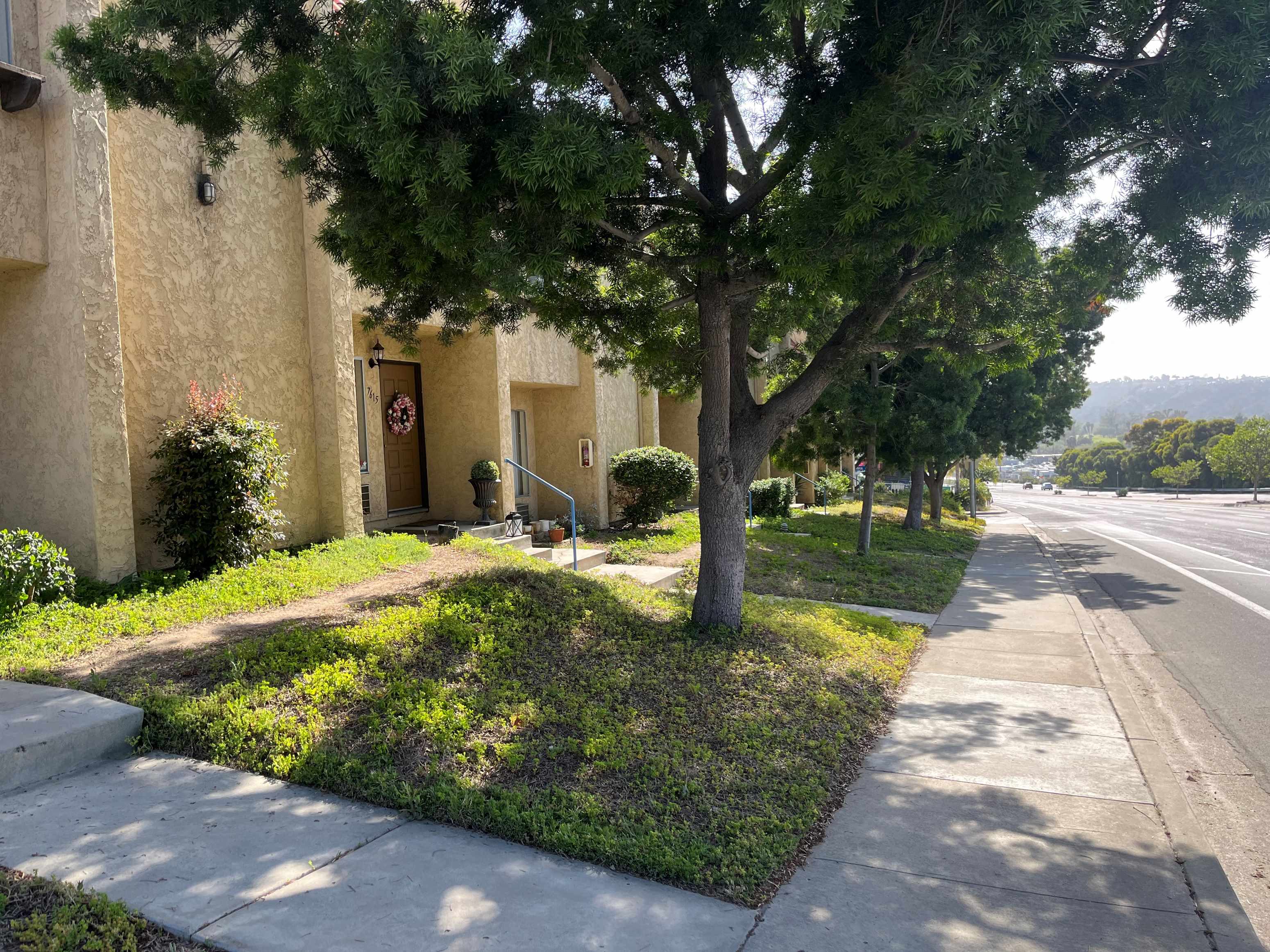 A tree in front of a building with a sidewalk in front of it.