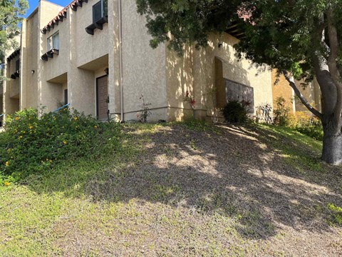 A building with a tree in front of it.