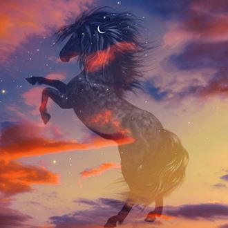 a horse standing on its hind legs in the sky