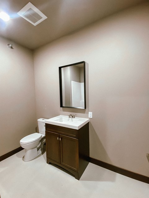 A bathroom with a white toilet and a brown cabinet.