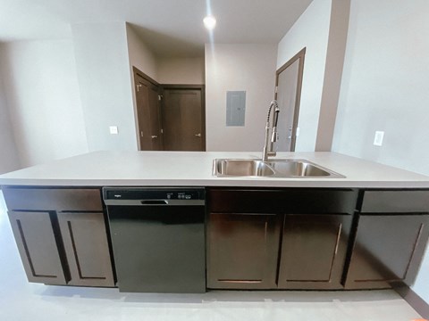 A modern kitchen with a sink and a dishwasher.