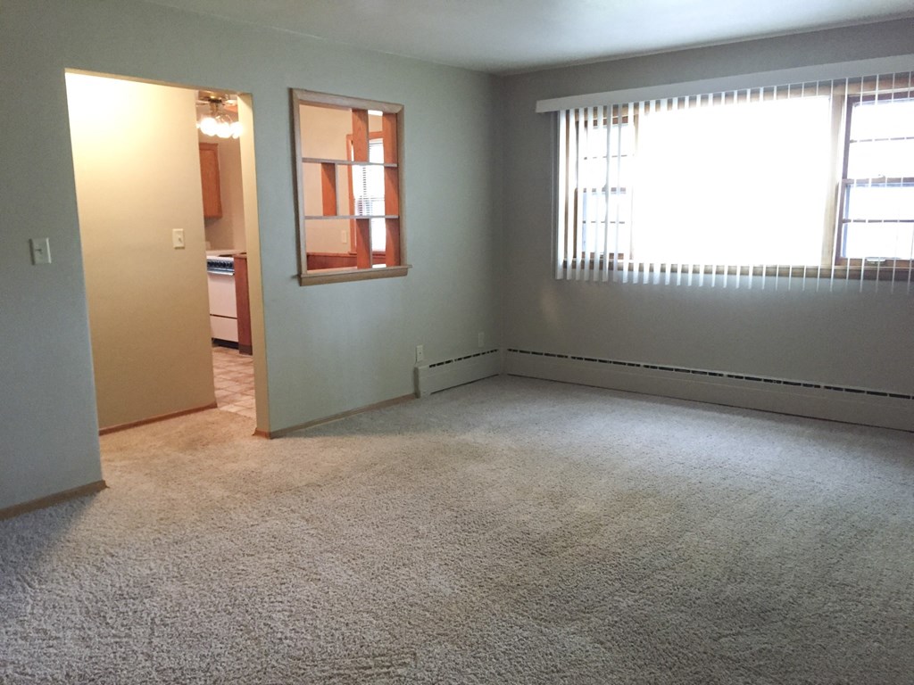 a bedroom with a carpeted floor and a window