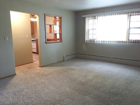 a bedroom with a carpeted floor and a window
