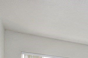 Interior Unit- Newly Renovated Living Room Additional View - Photo Gallery 6