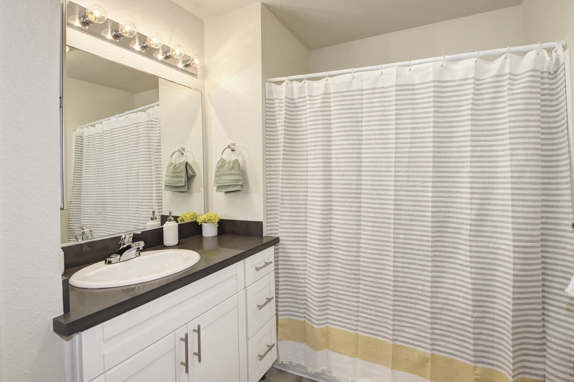 Unit Interior- Hall Bathroom Sink Cabinets and Shower