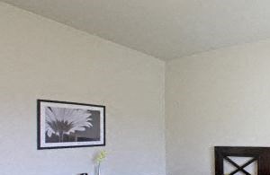 First Bedroom