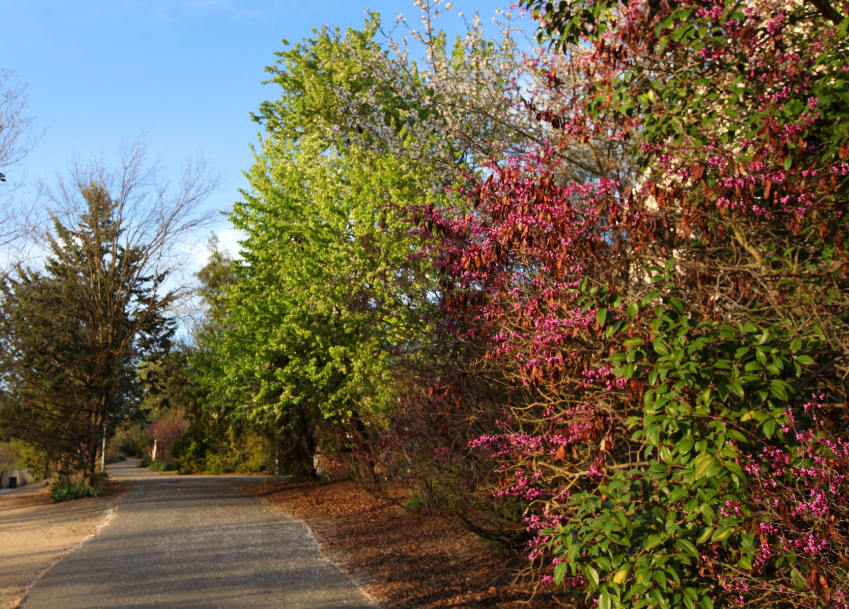Nearby Greenbelt Path