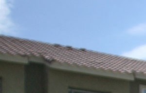 Matthew Henson Apartments Apartments In Phoenix Az