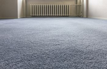 Carpet floor