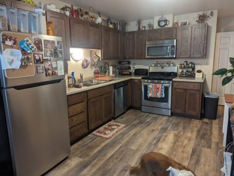A dog is standing in a kitchen with wooden cabinets and a refrigerator.