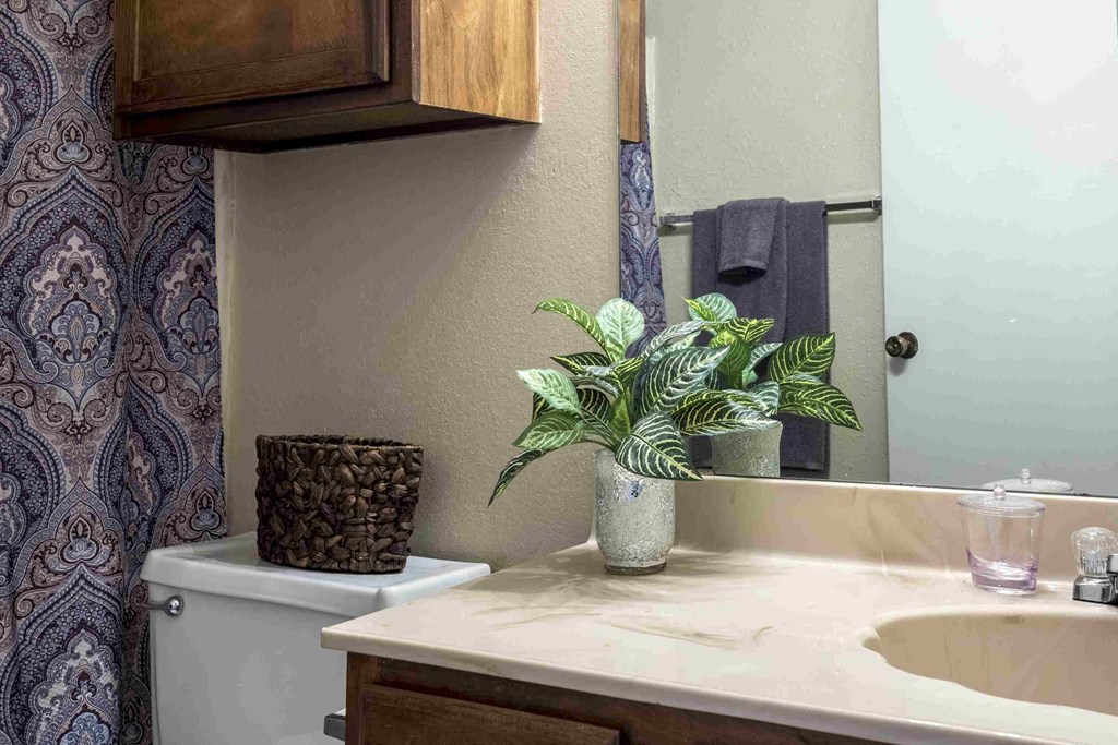 a bathroom with a sink and a plant on the counter