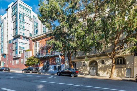 A tree in front of a building with a car parked on the side of the road.