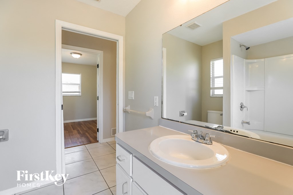 a bathroom with a sink and a large mirror