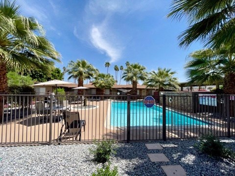 A pool surrounded by a fence and palm trees.