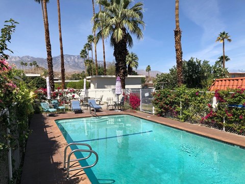 the pool at the desert palace hotel in palm springs