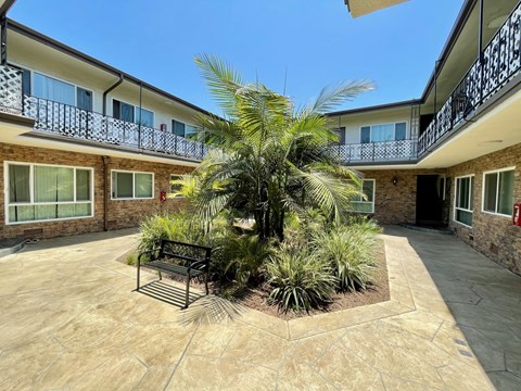 A courtyard with a bench and a palm tree.