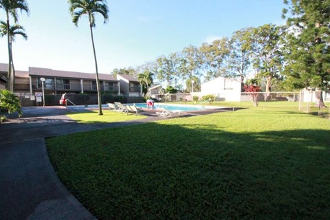A swimming pool is surrounded by a grassy area and palm trees.