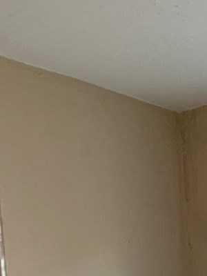 6310 Cabanne Ave. 2 Beds Apartment for Rent - Photo Gallery 2