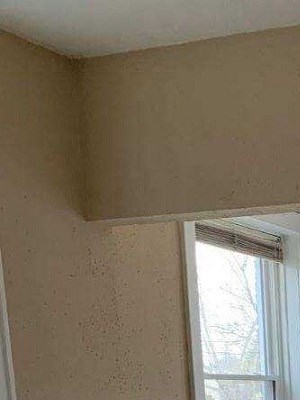 6310 Cabanne Ave. 2 Beds Apartment for Rent - Photo Gallery 3