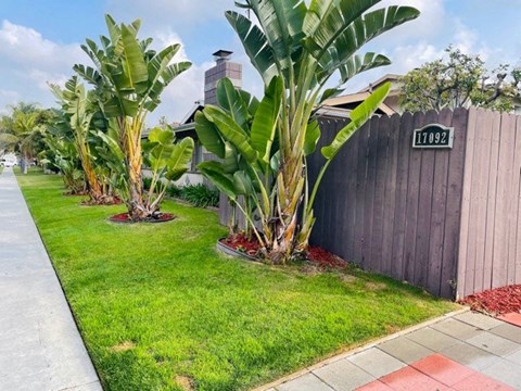 A house numbered 17092 is visible in the background of a well-kept lawn with banana plants.