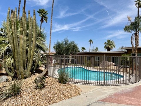 A pool surrounded by a fence and cacti.