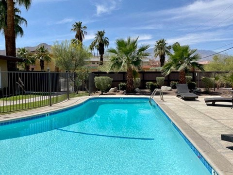 A swimming pool surrounded by a fence and palm trees.