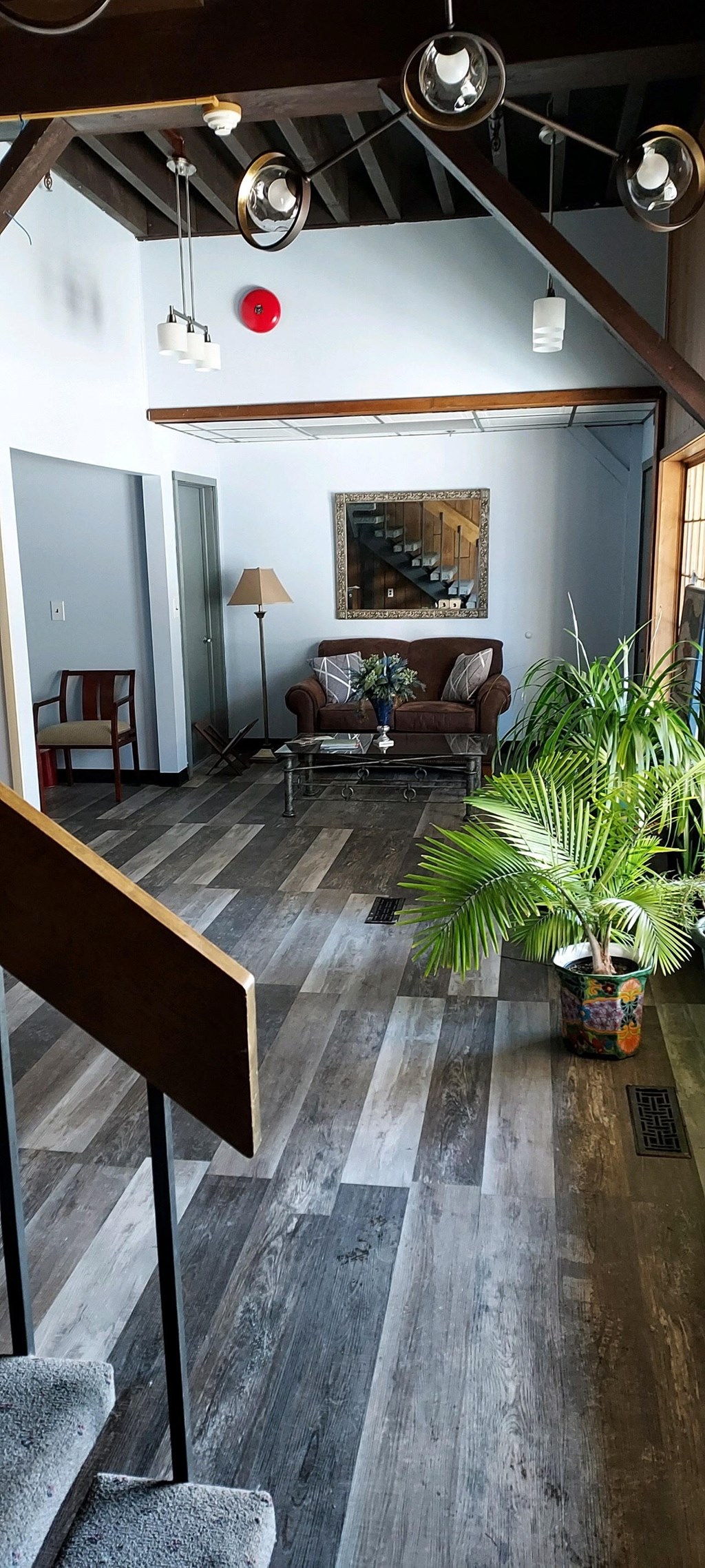a large living room with a wooden floor and a plant