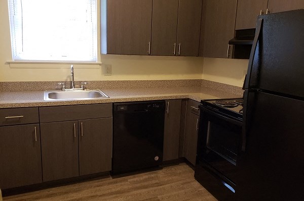 a kitchen with black appliances and a sink