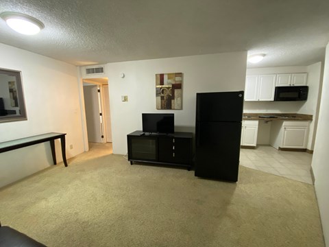 A black refrigerator stands in a living room with a television and a table.