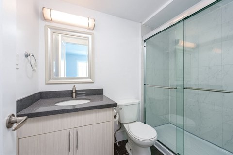 a bathroom with a sink toilet and a shower