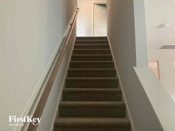 A staircase with a carpeted runner and wooden risers.