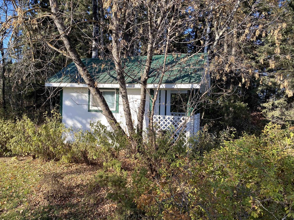 a small white house with a green roof in the woods