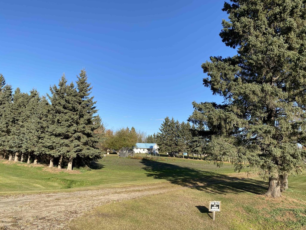a park with trees and a sign in the grass