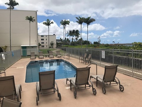 A pool surrounded by chairs and palm trees.