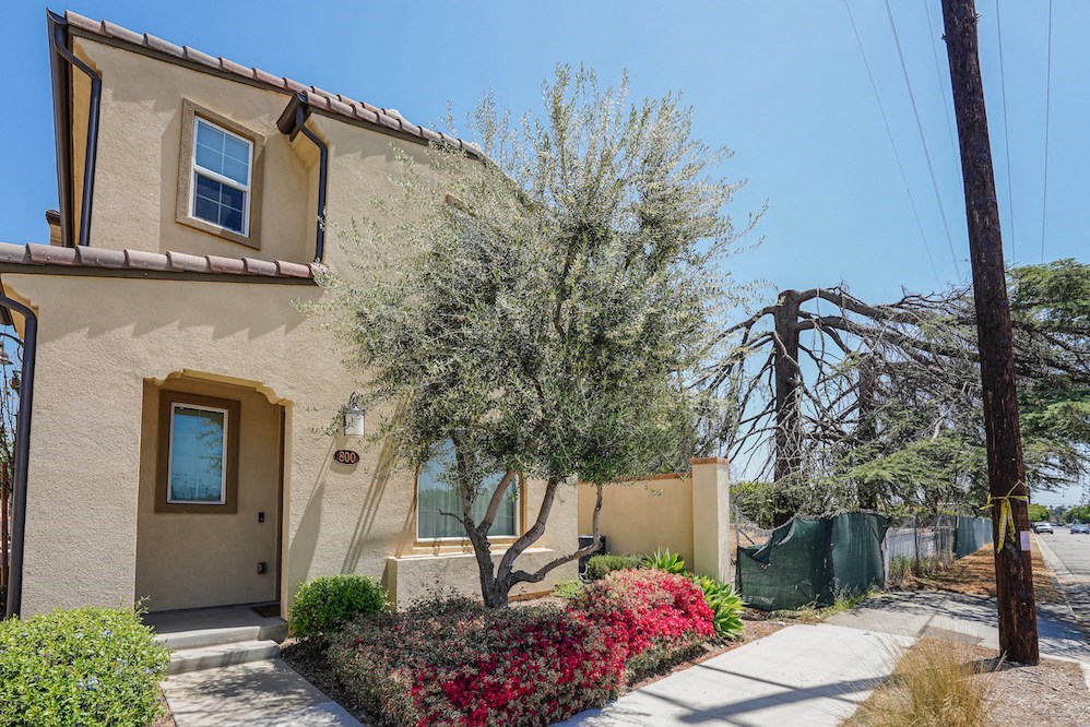 a house with a tree and a sidewalk in front of it